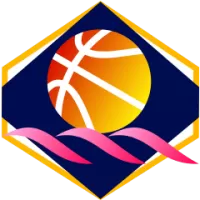 Cairns Taipans Flag