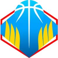 Sydney Kings Flag