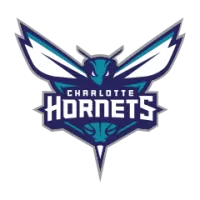 Charlotte Hornets Flag