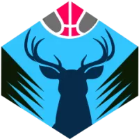 South East Melbourne Phoenix Flag