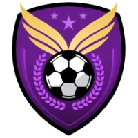 Rotherham United Flag