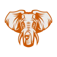 Tuskers Flag