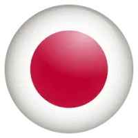 Japan Team Flag