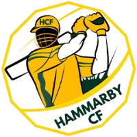 About Hammarby Team