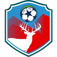 Portuguesa Team Flag