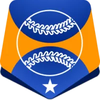 Kiwoom Heroes Flag