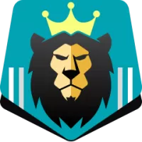 Samsung Lions Flag