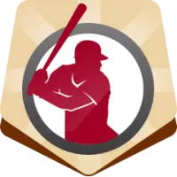 Hanwha Eagles Flag