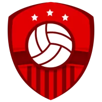 Delhi Toofans Team Flag