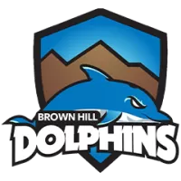About Brownhill Dolphins Team