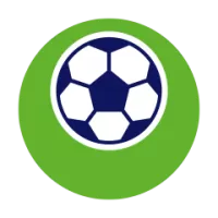 Wolverhampton Wonders Flag