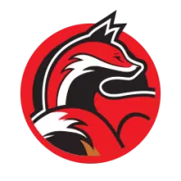 About Leicestershire Women Team