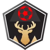 Caykur Rizespor Flag