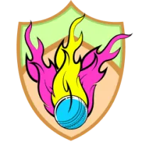 About India Tigers Team