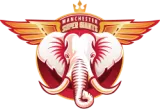 Manchester Super Giants Flag