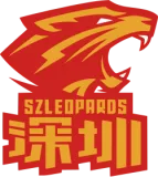Shenzhen Leopards Flag
