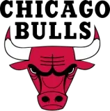 Chicago Bulls Team