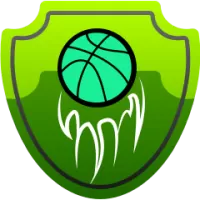 Jiangsu Dragons Flag