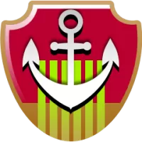 Xinjiang Flying Tigers Flag