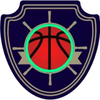 Liaoning Flying Leopards Flag