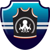 Zhejiang Golden Bulls Flag