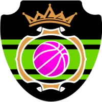 Shanghai Sharks Flag