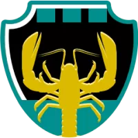 Guangzhou Loong Lions Flag