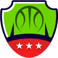 Jilin Northeast Tigers Flag