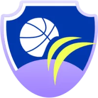 Sichuan Blue Whales Flag