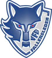 About VFB Fallersleben Team