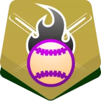 SSG Landers Flag