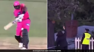 BBL 2020: जेसन होल्डर ने मारा ऐसा छक्का, गेंद जाकर पेड़ पर अटक गई..देखें Video