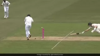 जडेजा के बेहतरीन रन आउट से गदगद हुए फैंस, सोशल मीडिया पर दिखा जलवा