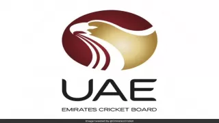 UAE के पूर्व कप्तान मैच फिक्स करने के दोषी, आईसीसी ने निलंबित किया