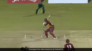 स्टेडियम पार होते-होते रहे गई गेंद, देखें Video