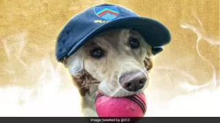 Year Ender 2021: ऐसे 5 सबसे दिलचस्प लम्हें, - Video