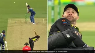 मिचेल स्टार्क की इस गेंद को देखकर हर कोई रह गया हैरान, देखिए VIDEO