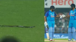 मैदान में घुसा सांप, 10 मिनट रुका रहा भारत-साउथ अफ्रीका टी-20 मैच, Video