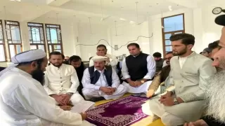 शाहिद अफरीदी के दामाद बने शाहीन अफरीदी, अंशा अफरीदी से की शादी