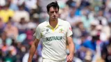 Ashes 2025-26: Pat Cummins ruled out of the Ashes series, Steve Smith to take over captaincy again