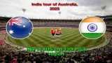 IND vs AUS 2nd T20I Pitch Report: How will the pitch be at Melbourne Cricket Ground