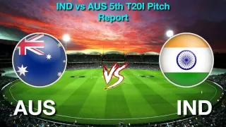 IND vs AUS 5th T20 Pitch Report: How will the pitch be at The Gabba, Brisbane