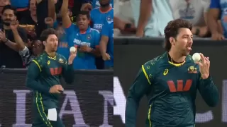 IND vs AUS: Tim David’s Weird Celebration, India Win by 48 Runs