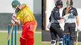 NZ vs ZIM Dream11