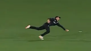 NZ vs SA 5th T20I: Nick Kelly takes a spectacular one-handed diving catch! Video goes viral