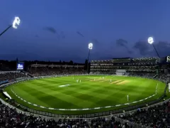 Buffalo Park Picture