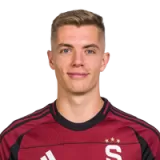 Martin Suchomel  Player
