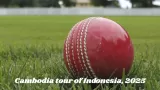 Cambodia tour of Indonesia, 2025