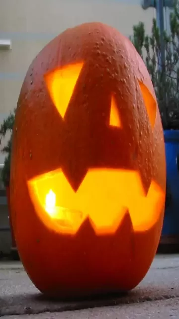 10 Spooky and Fun Facts Picture