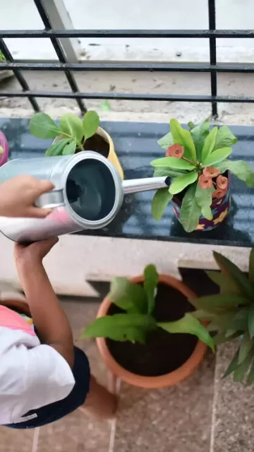 6 gardening tips for beautiful Picture